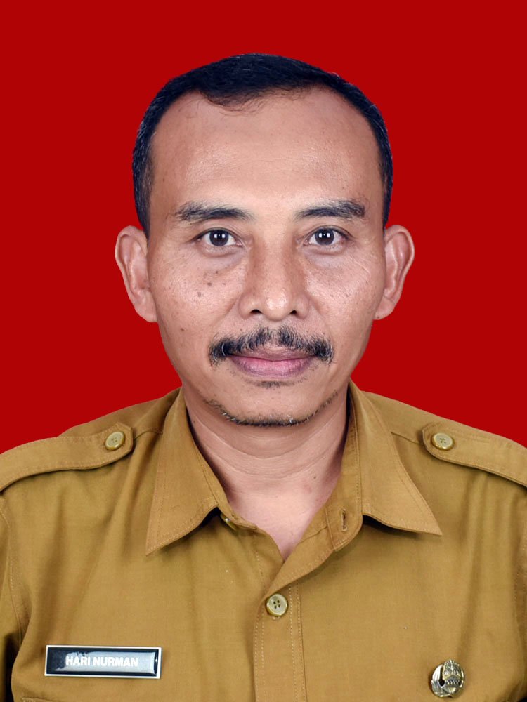 HARI NURMAN, S.S