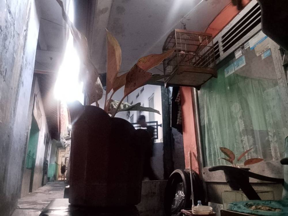 BUNGA SINTIA RAHAYU