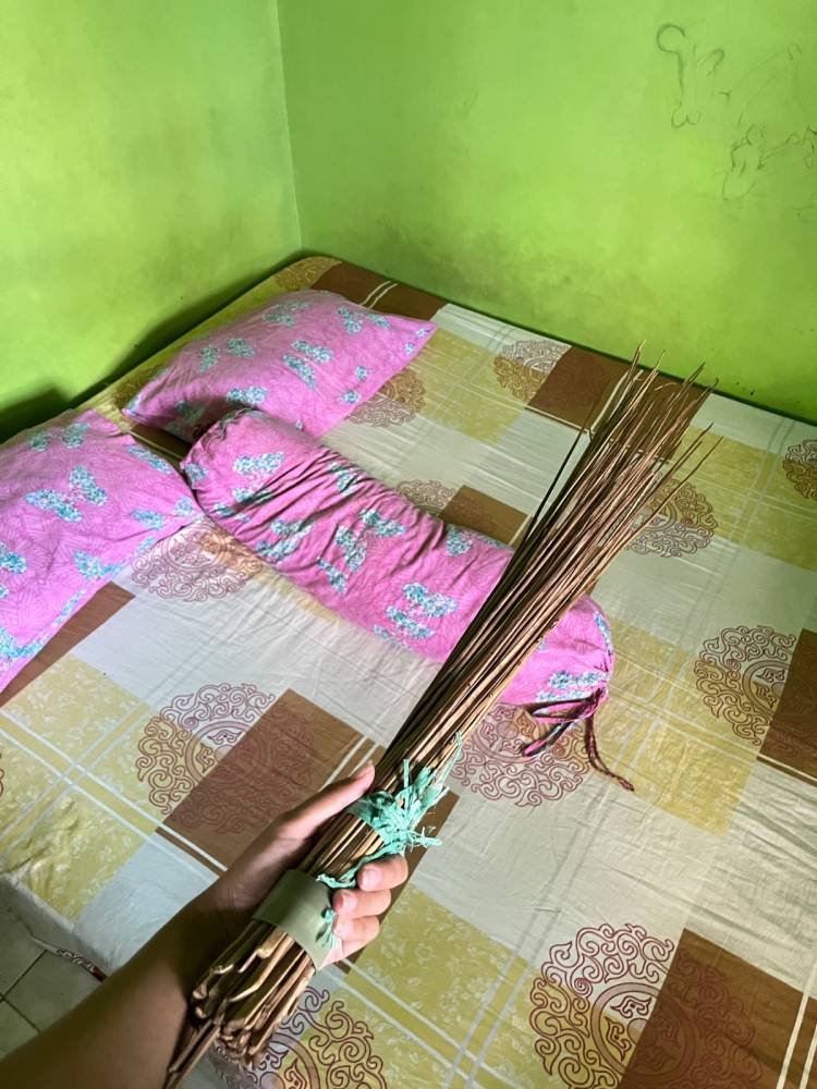 DEVI SAPITRI