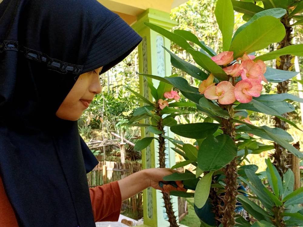 FUTRI AMALIA INSANI